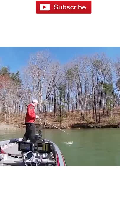 amazing funny Video Clips #shorts (196)