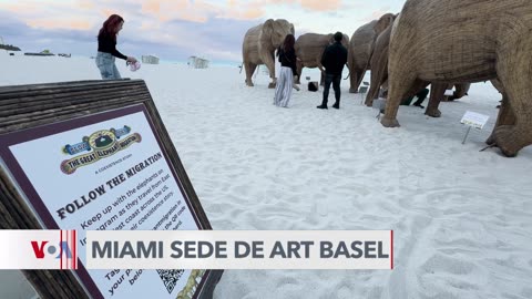 Art Basel en Florida toma las playas de Miami por la preocupación de la biodiversidad