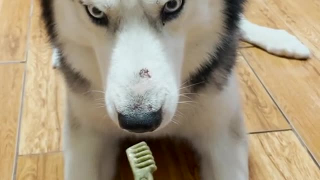 Say pwease