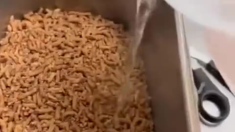 Here is your beloved Taco Bell 🤮