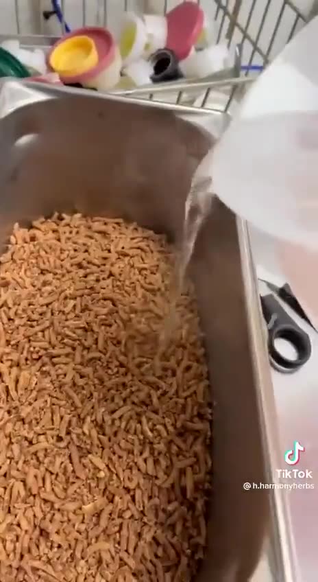 Here is your beloved Taco Bell 🤮