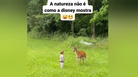 Criança vs Animal 😆