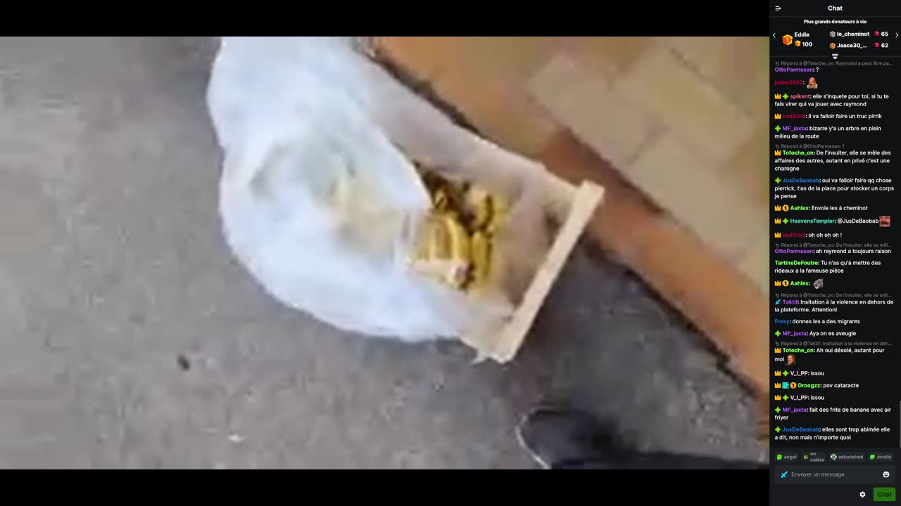 2023-10-19 (2bis.3) - Encore un aspirateur dans les poubelles + Huguette - Kick (chat)
