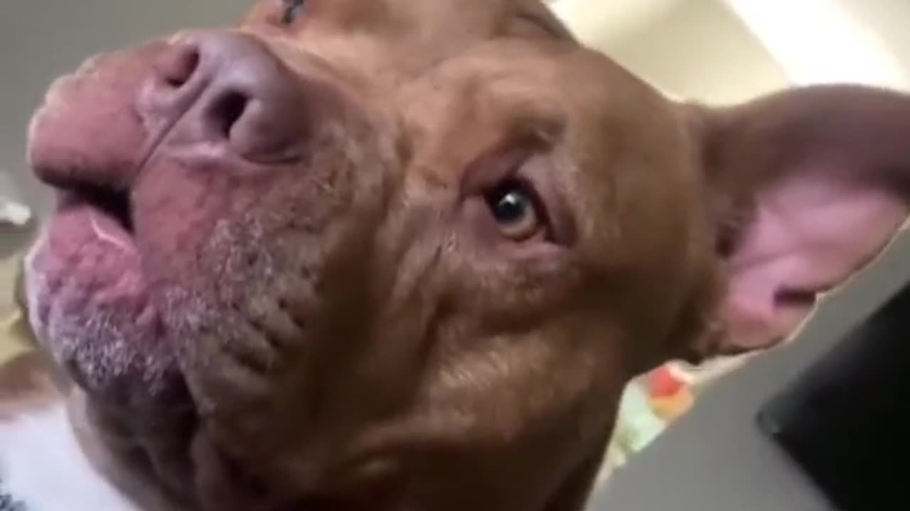 Random videos part 1