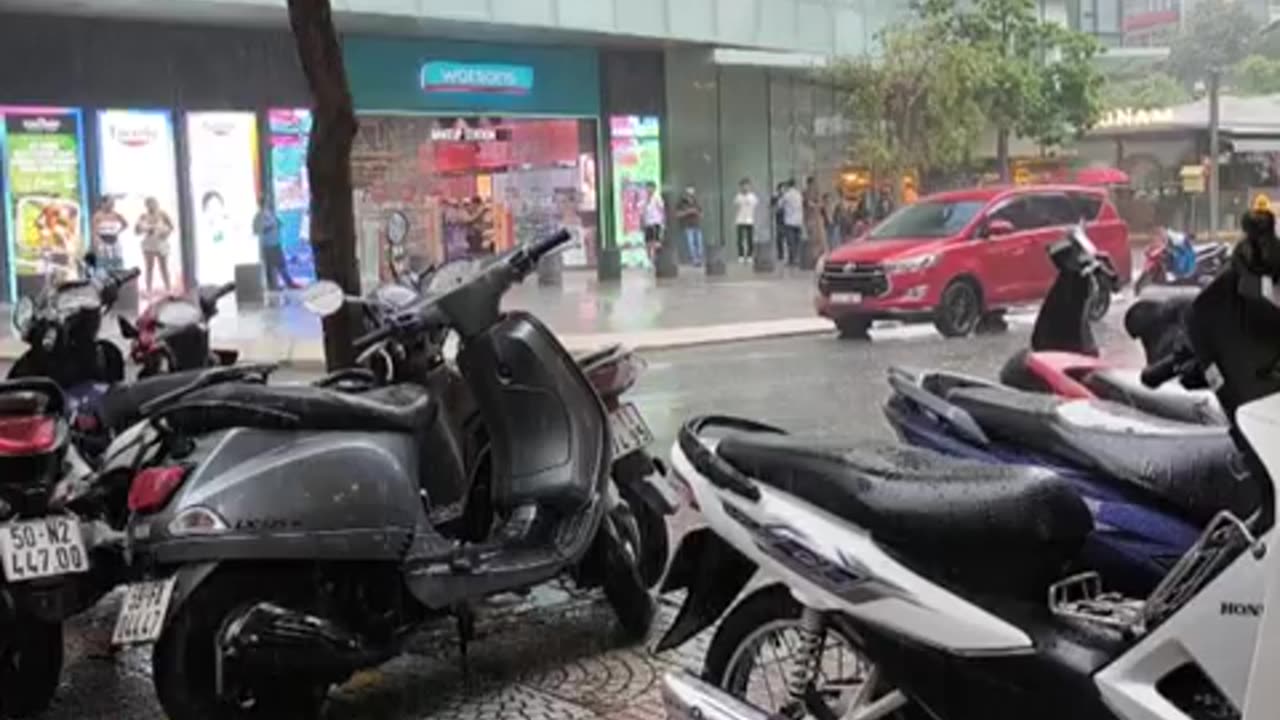 fatty demon pig - 2024 - October 18th part 001