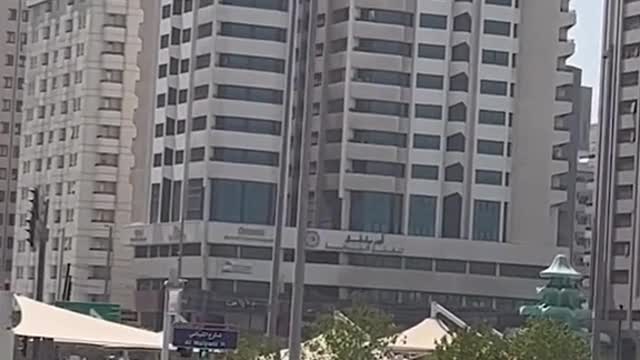 A gazelle was spotted roaming the streets of Abu Dhabi, and was filmed by a