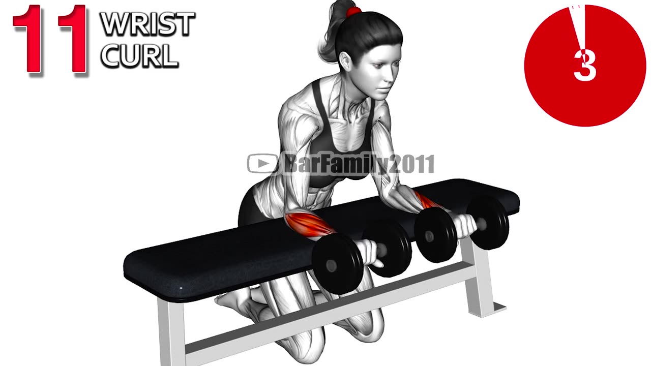 The Best Arm Exercises with Dumbbell For Women