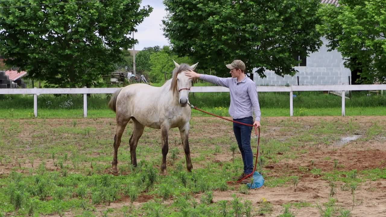 Please Do This With Your Horses! How I Desensitize A Horse To A Plastic Bag (3 Steps)