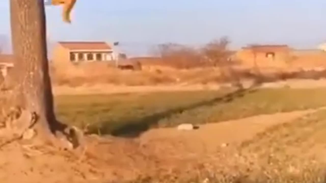 Funny