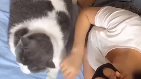New Funny Videos 2022 😍 Cutest Cats and Dogs 🐱🐶 Part36