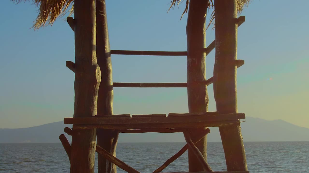 palm frond lifeguard station