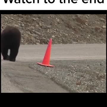 SMART BEAR FIX TRAFFIC STAND FOR VIHECLE DRIVER.mp4