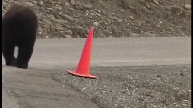 SMART BEAR FIX TRAFFIC STAND FOR VIHECLE DRIVER.mp4