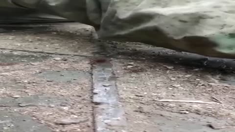 Las Fuerzas Armadas cubrieron a los ocupantes durante un intento de forzar el Dnieper. Inscribirse