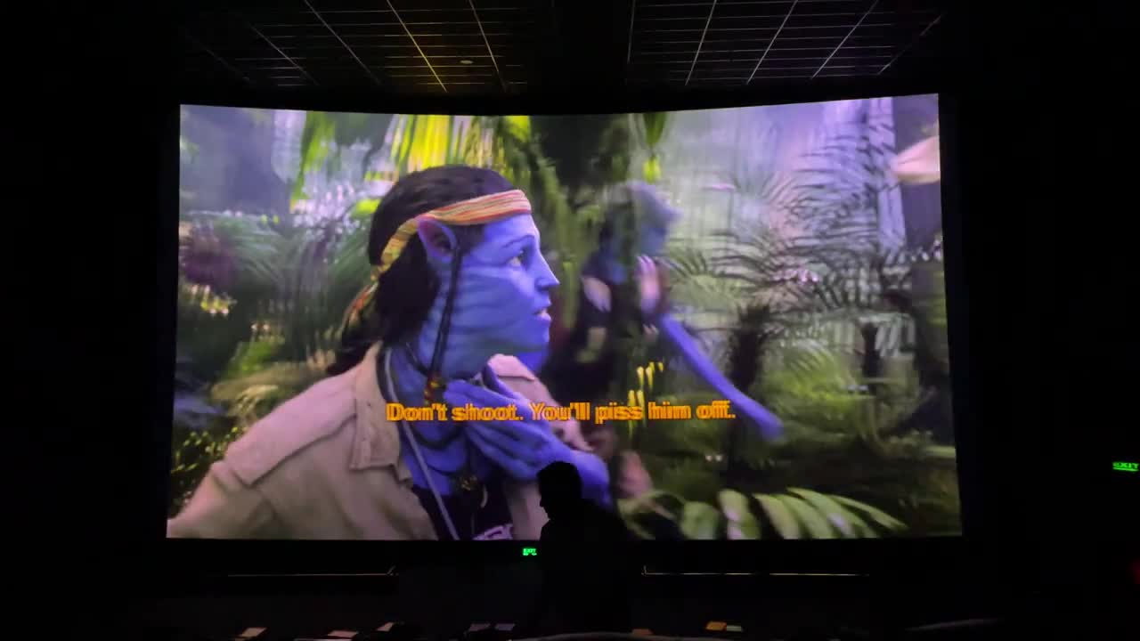 Avatar IMAX 3D re-release with select shots in 48fps TrueCut Motion (PVR, Delhi)