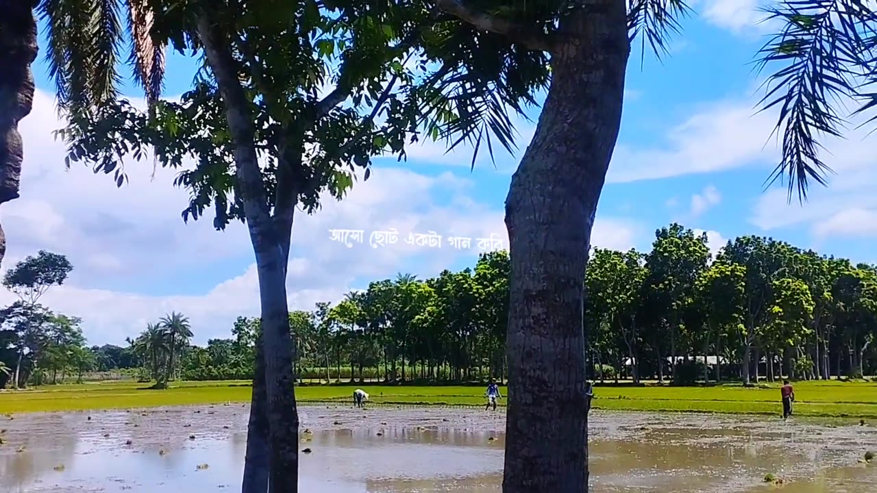 প্রকৃতি হলো সরলতায় পূর্ণ এক যৌগিক আশ্রয়।Ghum - Odd Signature [Official #Amit101