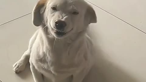 Remember to give your family and friends a big smile