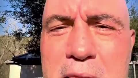 Joe rocks