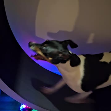 Jaz gettin her exercise