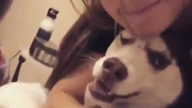 funny & cute animals