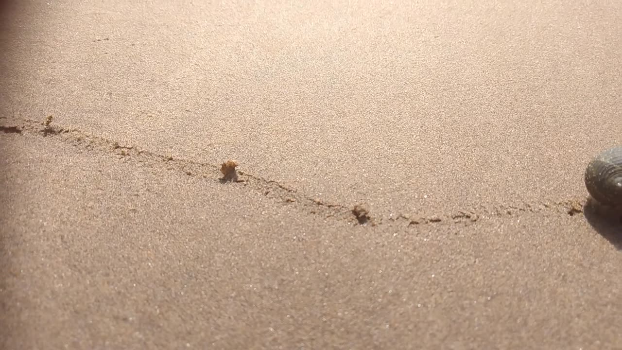 Wash on the beach
