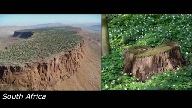 1000 de ani adugati, Copaci Munti,Turnul Diavolului, Stonehange