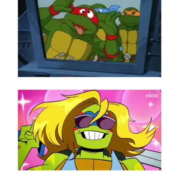 as tartarugas ninjas