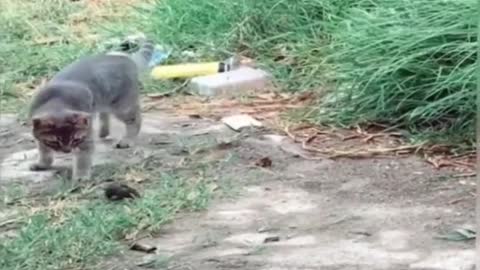 OMG...that definitely shocked me 😳