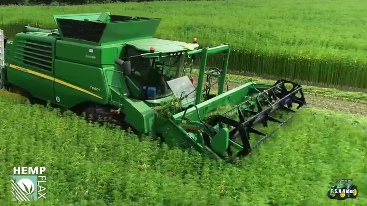 Hempflax/Groenoord hempharvest 2023 Double Cut Combine.