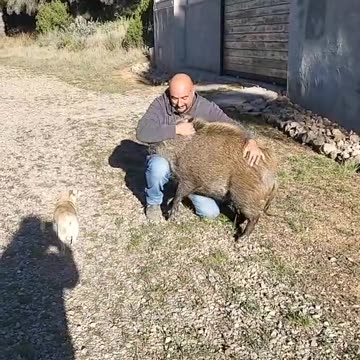 ГЛИГАН - ЧОВЕК