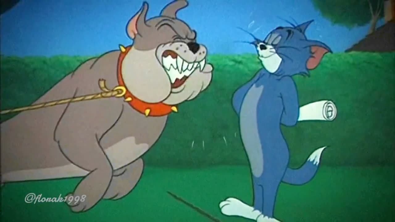 Tom&jerry cartoon