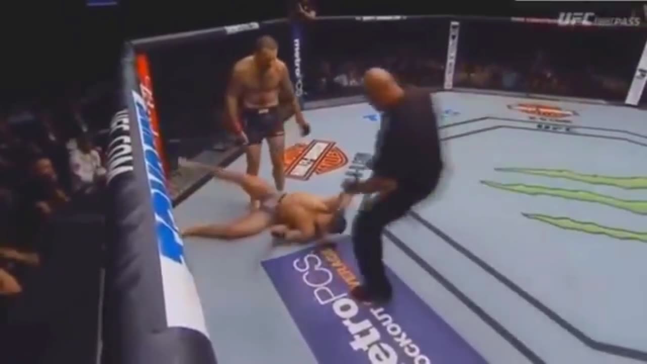 BRUTAL UFC | BEST FIGHT MMA KO | UPPERCUT