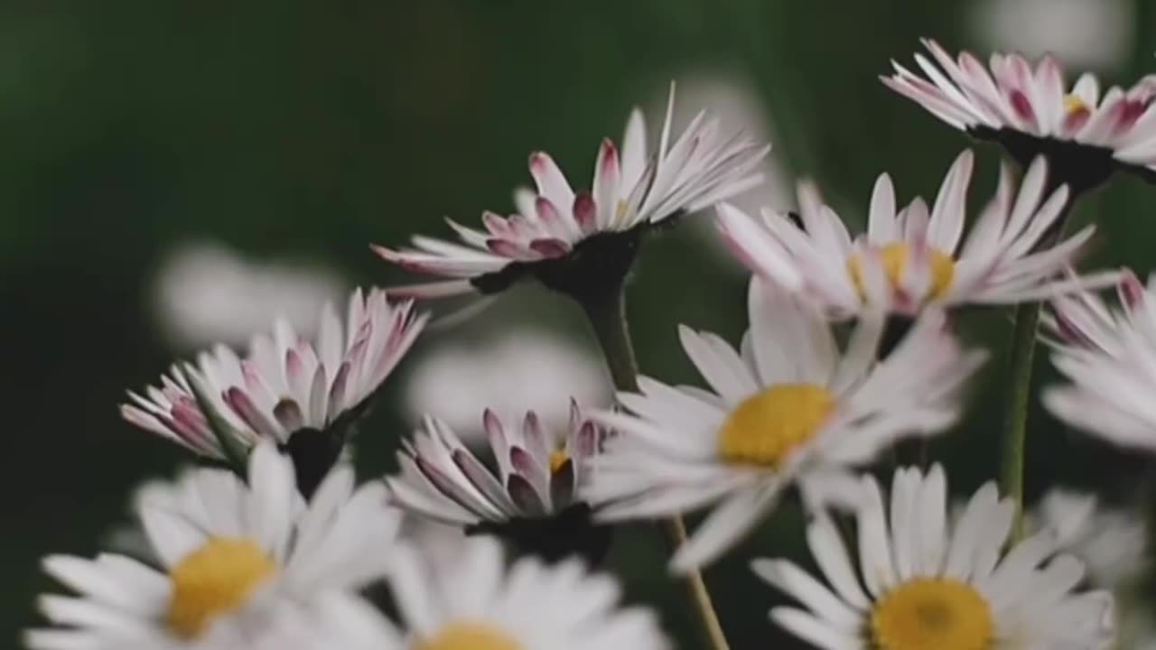 in love with nature>>