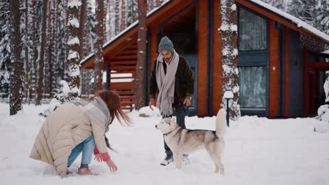 Funny dog jumping and catch the ice