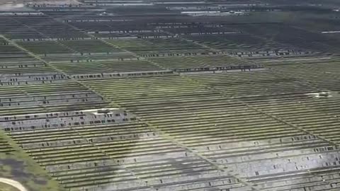 Hail storm in "Damon" TX destroys solar panels--what a disaster