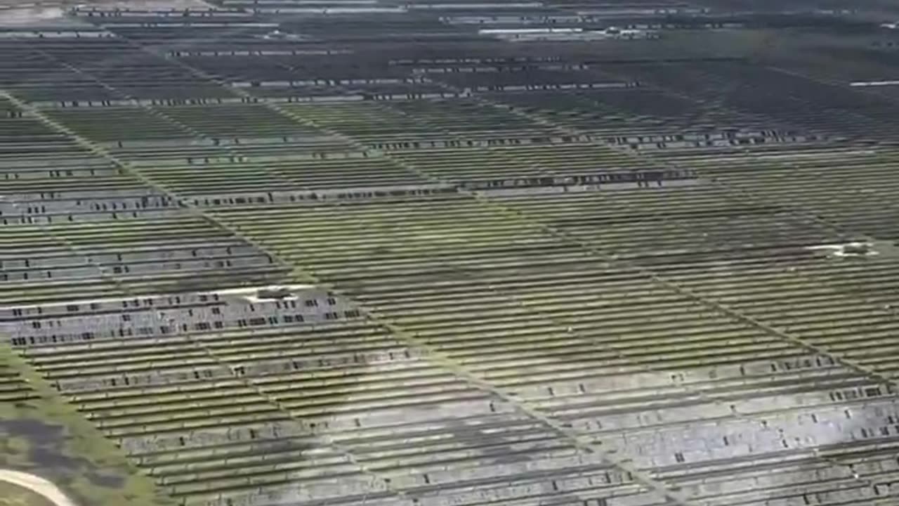 Hail storm in "Damon" TX destroys solar panels--what a disaster
