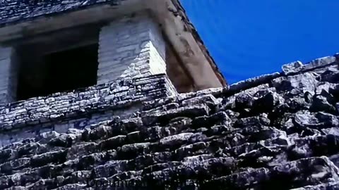 The Mayan