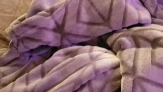 Loki, where are you?