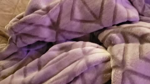 Loki, where are you?