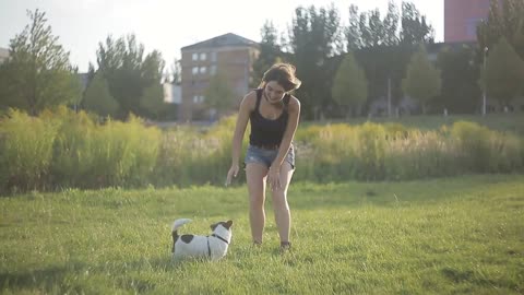 Young girl playing with white dog in the park, playful, sun rays