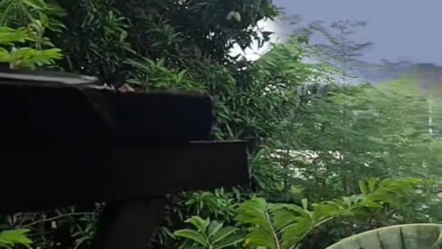 Monster spotted, behind the mountains