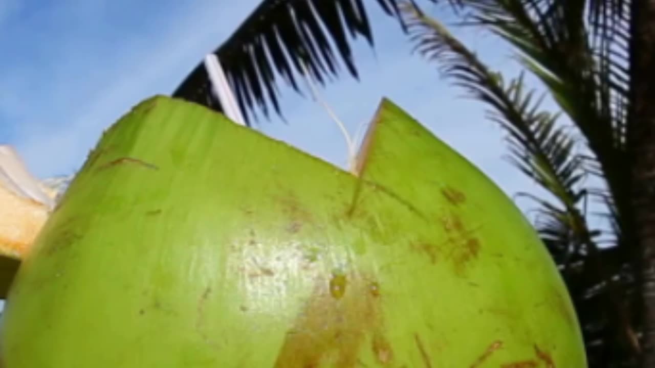 ***Jelly Coconuts: A Nutty Health Secret***