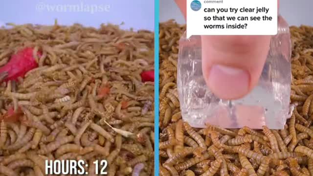 Comparison of control experiment