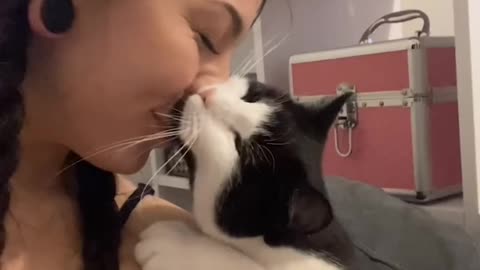 Babies Cat are the Sweetest