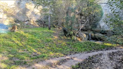 2022-12-27 (4) - zoo (énorme lag) - Twitch Triskelina