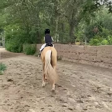 This kid has some impressive horse riding skills!