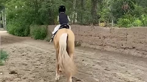 This kid has some impressive horse riding skills!