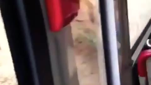 Funny😂and# video bus