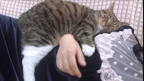 He's very clingy today