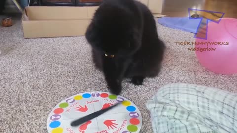 Hard try to not laugh 😂 #2023